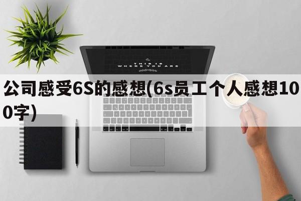 公司感受6S的感想(6s员工个人感想100字)